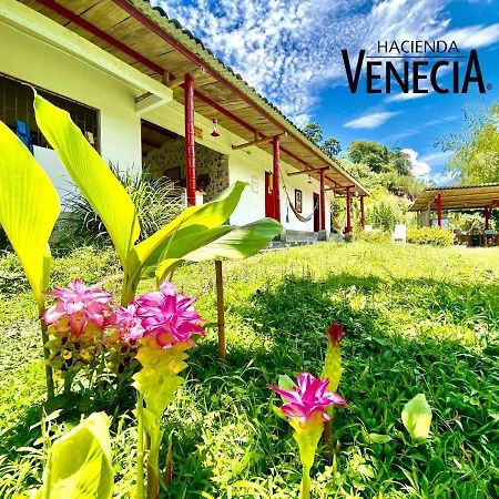 Hacienda Venecia Hostel San Peregrino 外观 照片
