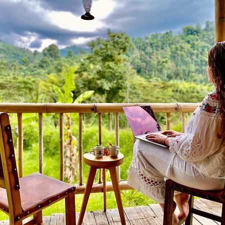 Hacienda Venecia Hostel San Peregrino 外观 照片