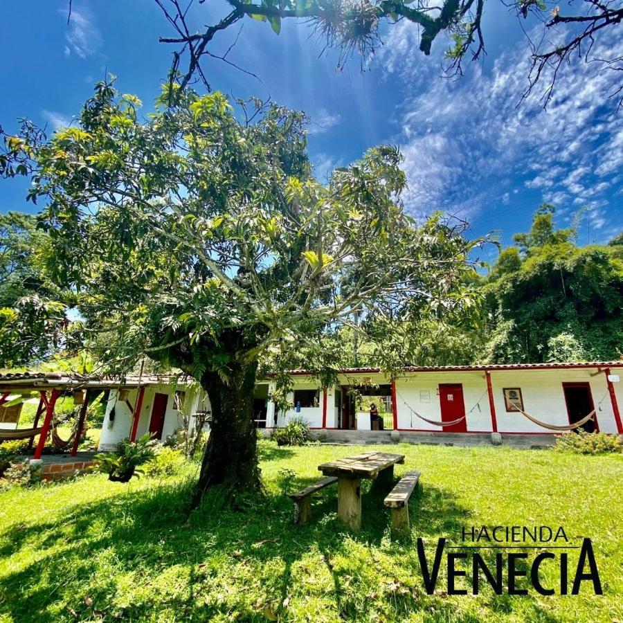 Hacienda Venecia Hostel San Peregrino 外观 照片