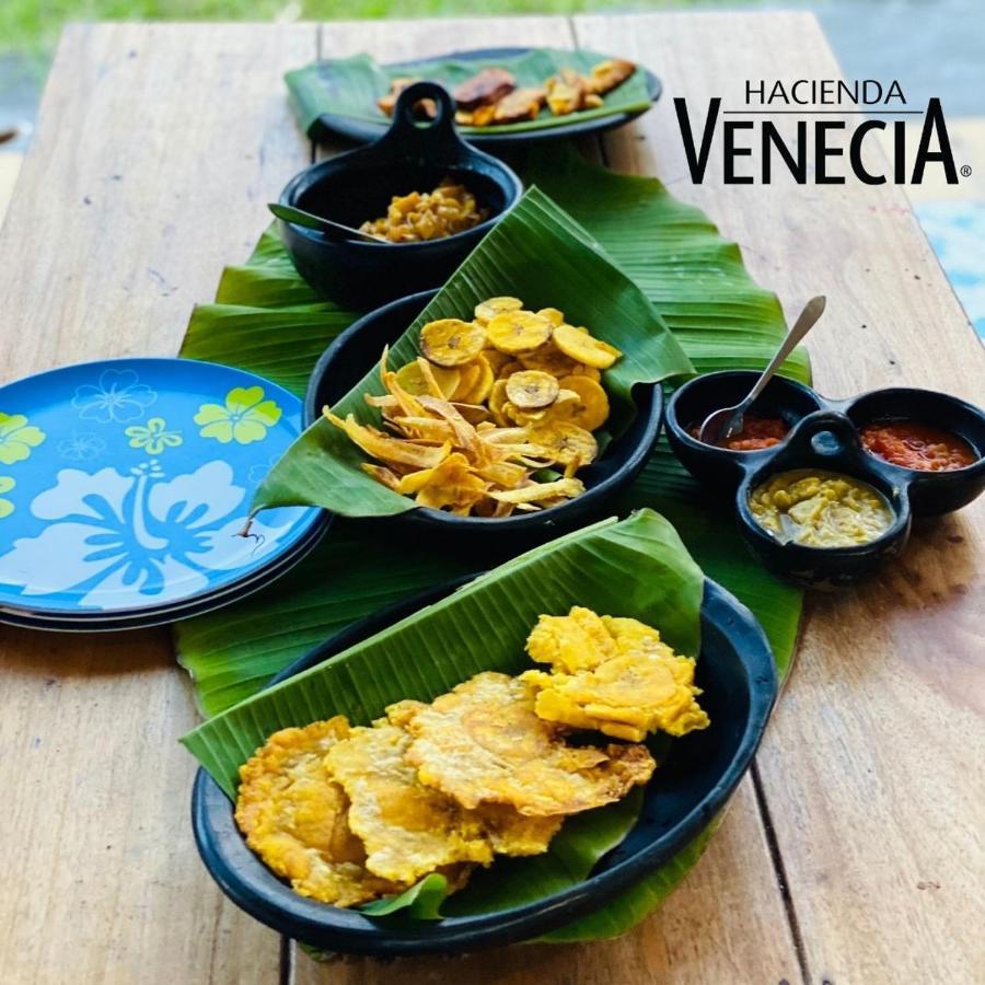 Hacienda Venecia Hostel San Peregrino 外观 照片